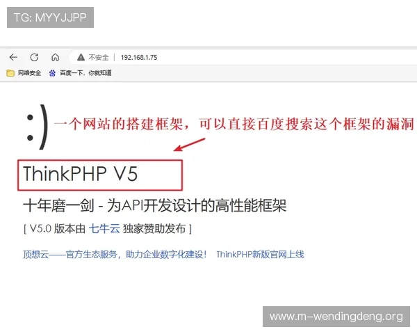 问鼎网官网入口登录遇到问题怎么办，常见问题解决方案和技术支持渠道推荐