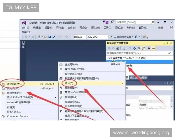 如何顺利访问问鼎网页登录页面详细步骤与常见问题解决方案全攻略